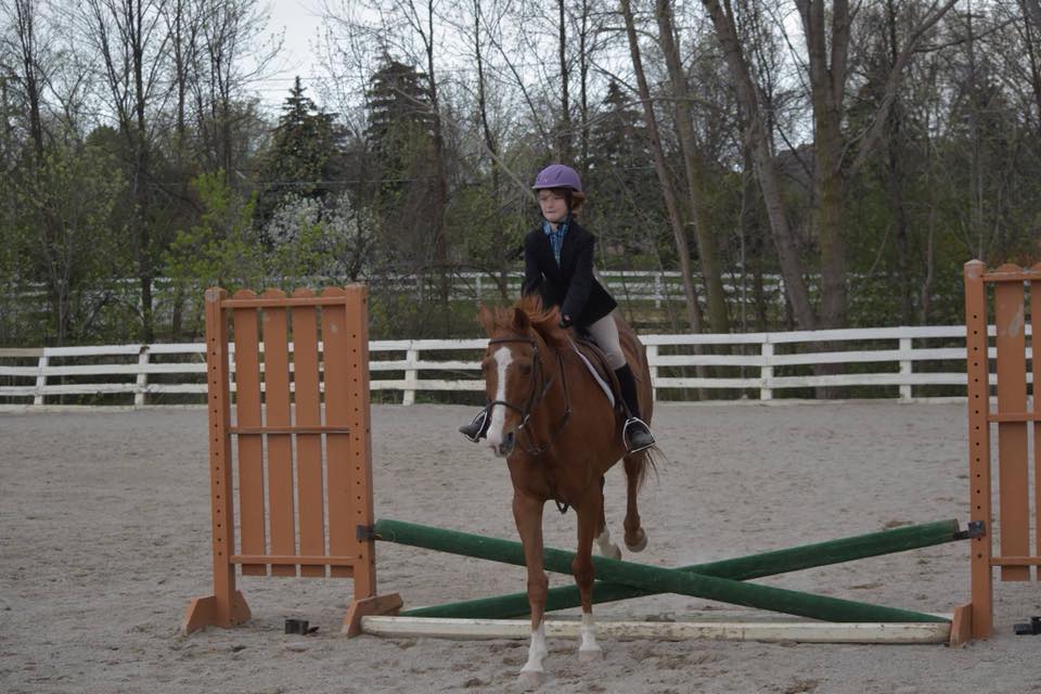 Lesson Horses – Windermere Equestrian Center